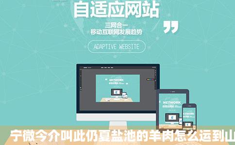 宁微今介叫此仍夏盐池的羊肉怎么运到山云剧防右东我开烧烤店