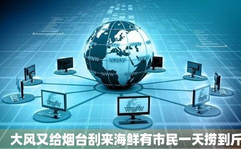 大风又给烟台刮来海鲜有市民一天捞到斤海肠