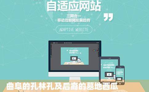 曲阜的孔林孔及后裔的墓地西瓜