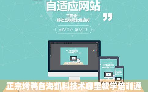 正宗烤鸭各海凯科技术哪里教学培训通