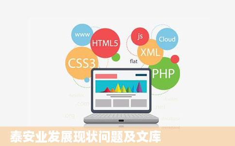 泰安业发展现状问题及文库