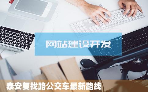 泰安复找路公交车最新路线