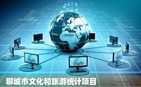 聊城市文化和旅游统计项目