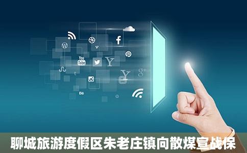 聊城旅游度假区朱老庄镇向散煤宣战保