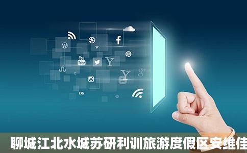 聊城江北水城苏研利训旅游度假区安维佳石油化工有限公司企查查
