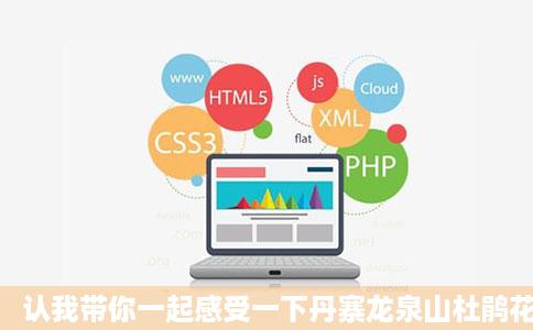 认我带你一起感受一下丹寨龙泉山杜鹃花景区西瓜视频