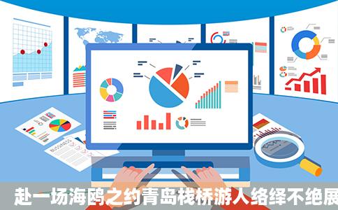 赴一场海鸥之约青岛栈桥游人络绎不绝展翅飞翔景象网易订阅