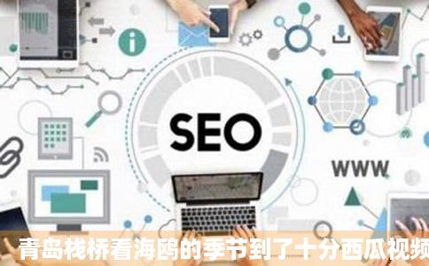 青岛栈桥看海鸥的季节到了十分西瓜视频