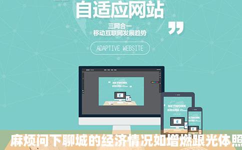 麻烦问下聊城的经济情况如增燃跟光体照何适合干点什么